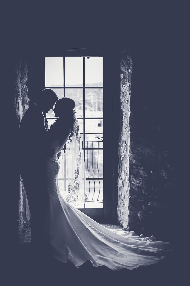 Enchanted Veil Image